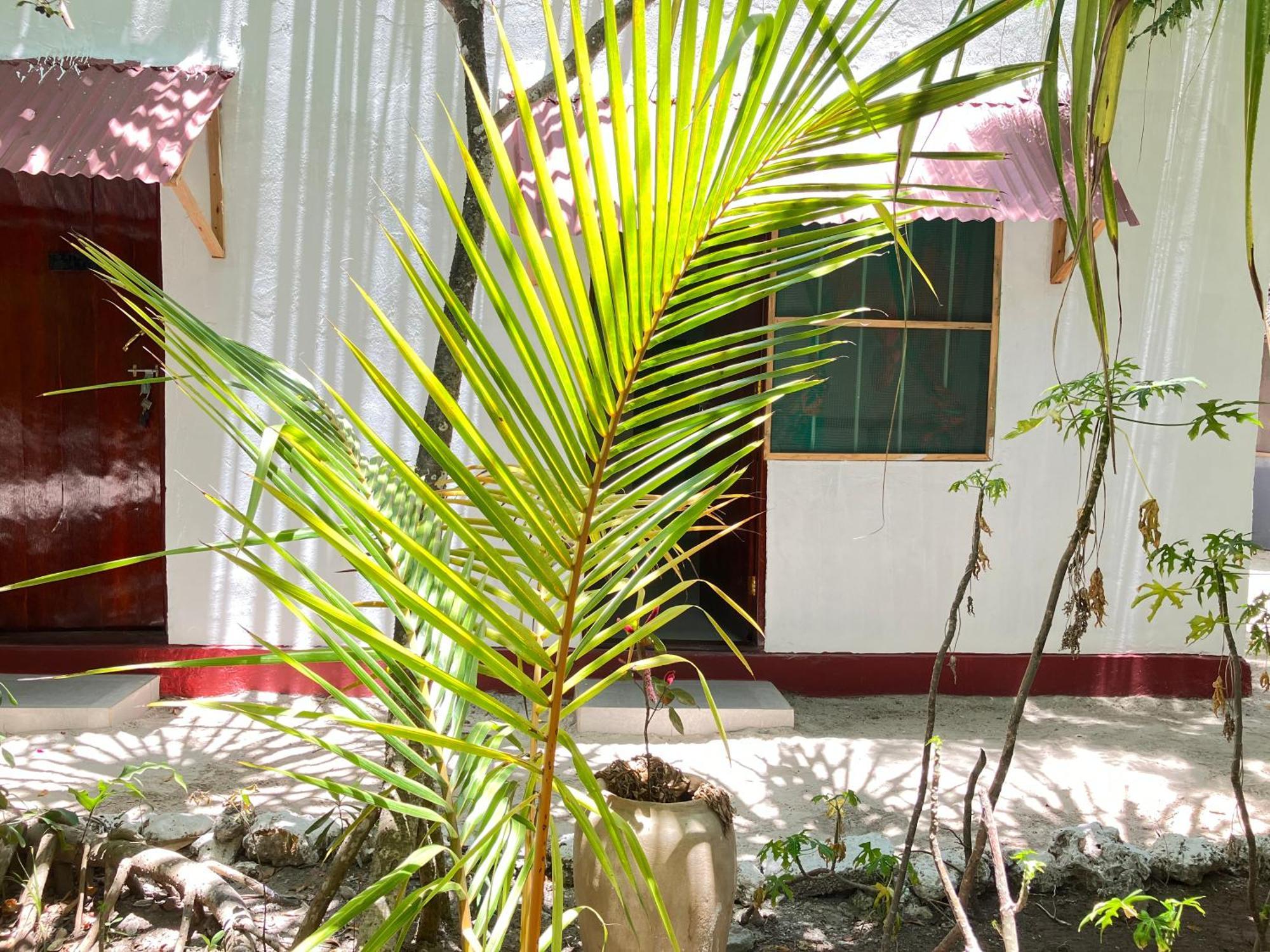 Mount Zion Lodge Michamvi Værelse billede